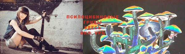 герыч Горнозаводск