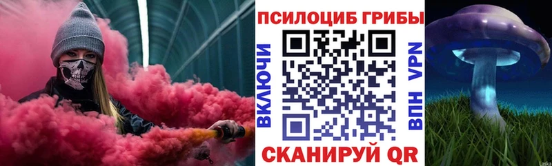 Псилоцибиновые грибы Psilocybine cubensis Богучар